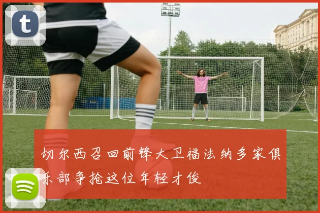 切尔西召回前锋大卫福法纳多家俱乐部争抢这位年轻才俊