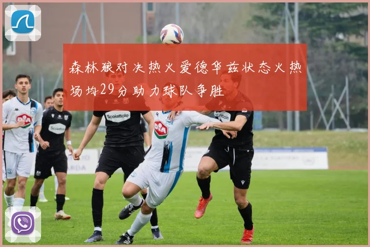 森林狼对决热火爱德华兹状态火热场均29分助力球队争胜